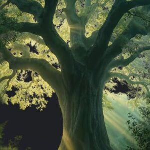 Grand arbre